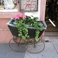 Janet Joy Photo 21 Janet Joy Photo 21