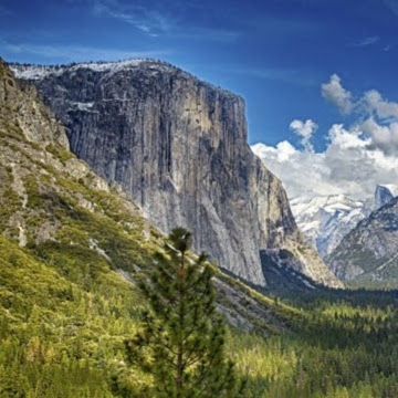 Gregory Conley Photo 36