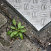 Lisa Lietz Photo 7