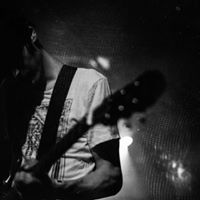 David Papp Photo 23