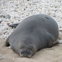 Kathy Caldwell Photo 15