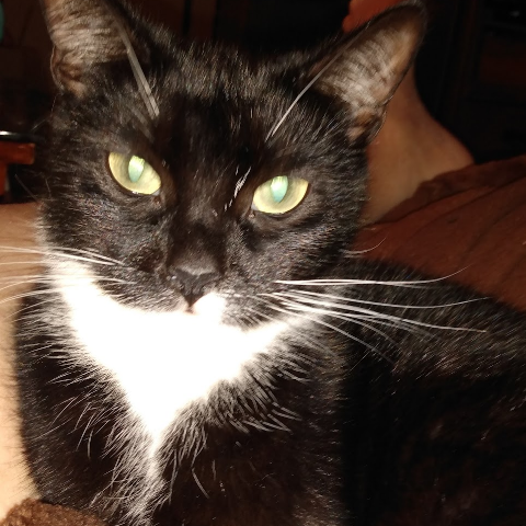 Mark Mcfadden Photo 35