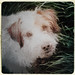 Bert Russell Photo 18