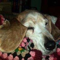 Nancy Magee Photo 14