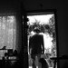 Hector Portales Photo 11