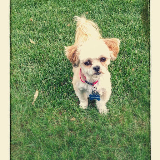 Cheri Schmidt Photo 10