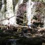 Dan Todd Photo 9