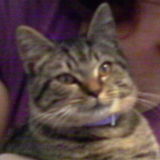 Jill Rodgers Photo 28