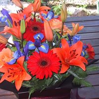 Elizabeth Fielder Photo 20