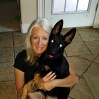 Traci Lambert Photo 38