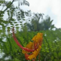 Daniel Franks Photo 39 Daniel Franks Photo 39