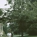 Michele Mccullough Photo 35