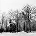 Don Faust Photo 9