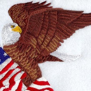 Jay Michaels Photo 8