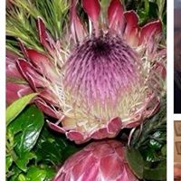 Patricia Barker Photo 6 Patricia Barker Photo 6