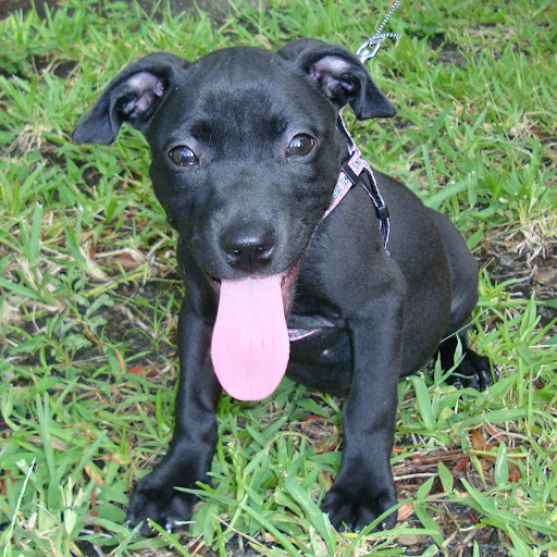 Fred Clements Photo 30