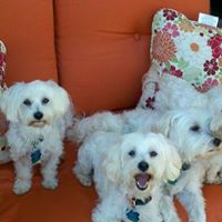 Jimmie Roberts Photo 39