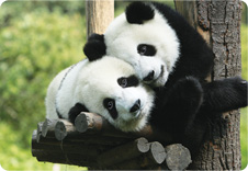 Kristine Kuhn Photo 2