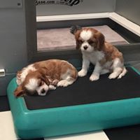 Christy Chapman Photo 26