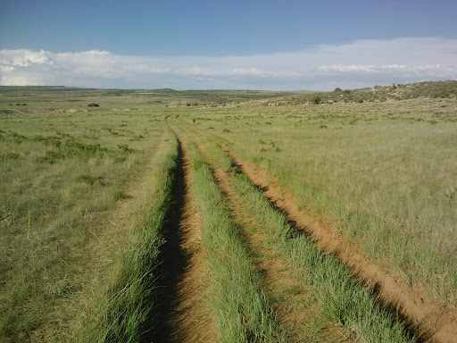 Jessica Mueller Photo 33