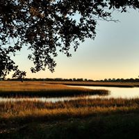 Colleen Heck Photo 5