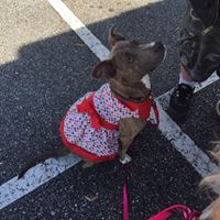 Tiffany Rader Photo 20