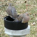 Mary Worley Photo 32