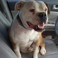 Deborah Ruth Photo 19