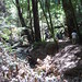 Cal Muir Photo 4