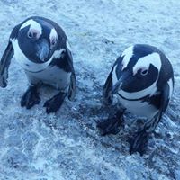 Susan Sachs Photo 28