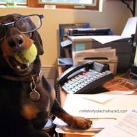 Barbara Gamble Photo 13