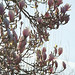 Barbara Hurst Photo 41