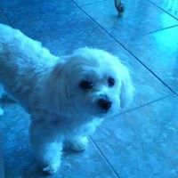 Kathy Jacobs Photo 21