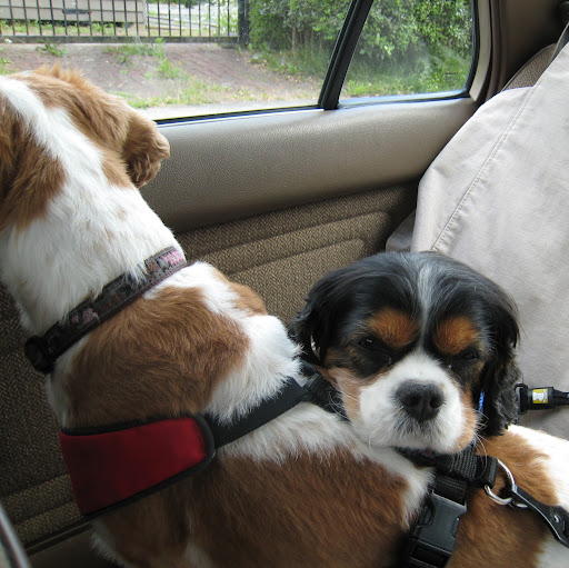 Lori Cunningham Photo 25 Lori Cunningham Photo 25