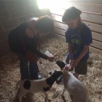 Steve Craft Photo 16