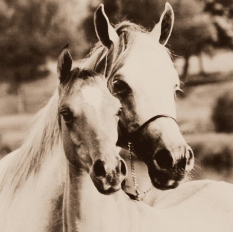 Petra Martinez Photo 22