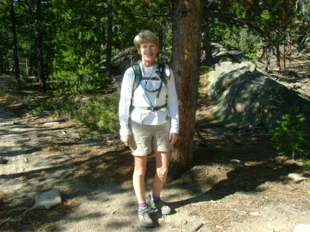 Patricia Nolan Photo 36