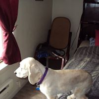 Jodi Marshall Photo 16