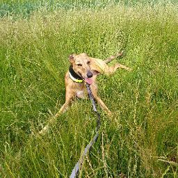 Christina Bristow Photo 17