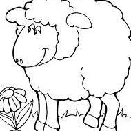 Edith Schaefer Photo 2