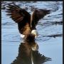 George Lang Photo 40