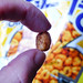 Chip Jolly Photo 13