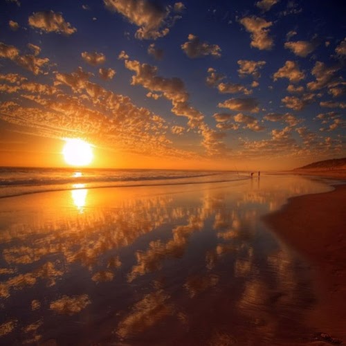 Michelle Jeffery Photo 25