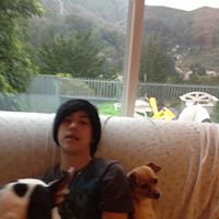 Michelle Mcnulty Photo 5