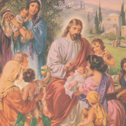 Jeff Shearer Photo 12