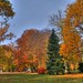 Christopher Hesse Photo 37