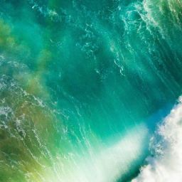 Jessica Greenwood Photo 17