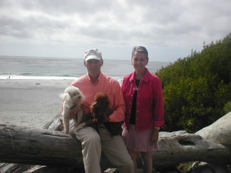 Jane Henderson Photo 4 Jane Henderson Photo 4