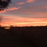 Sherri Benson Photo 13