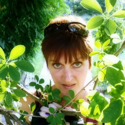 Tracy Morrow Photo 13